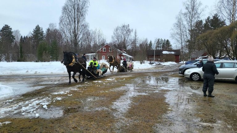 Kaksi hevosta vetää perässään rekiä, joissa on lapsia kyydissä.